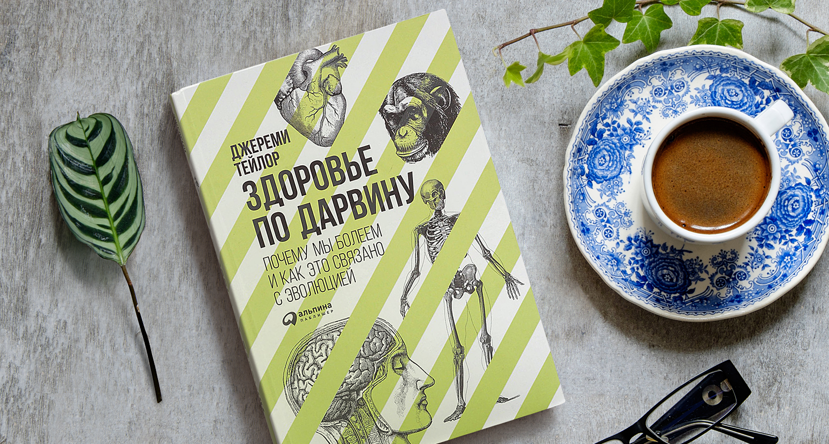 «Здоровье по Дарвину» Тейлора Джереми